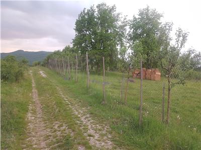 Teren de vanzare in Alba Iulia