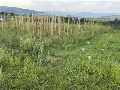Teren intravilan de vanzare in Alba Iulia -Orizont