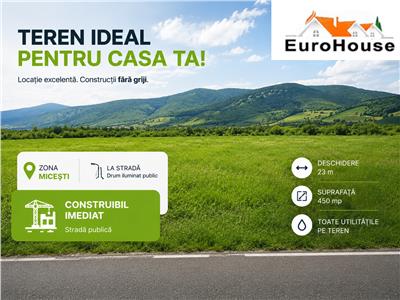 Teren de vanzare la sosea in Micesti