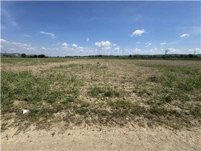Teren de vanzare zona Centura Alba Iulia