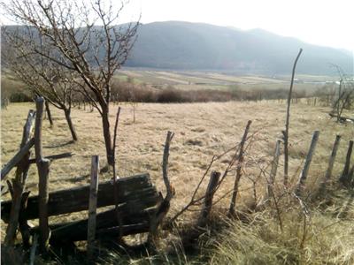 OPORTUNITATE! TEREN EXTRAVILAN ZONA SARD - AMPOITA